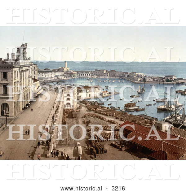 Historical Photochrom of the Harbor of Algiers, Algeria
