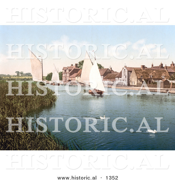 Historical Photochrom of Two White Ducks near Sailboats at Horning Village in Norfolk England
