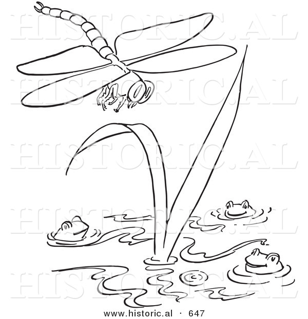 Historical Vector Illustration of a Dragonfly Flying over Happy Frogs in a Pond - Outlined Version