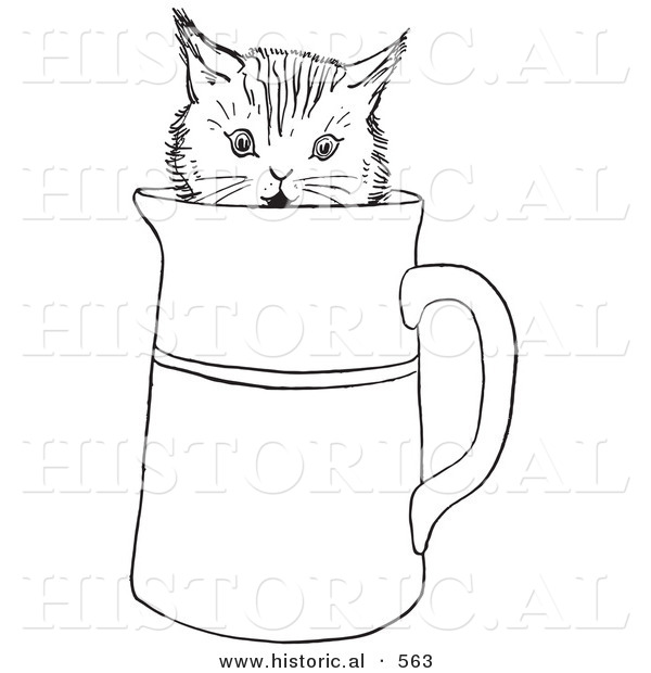Historical Vector Illustration of a Funny Kitten Playing in a Cup - Outlined Version