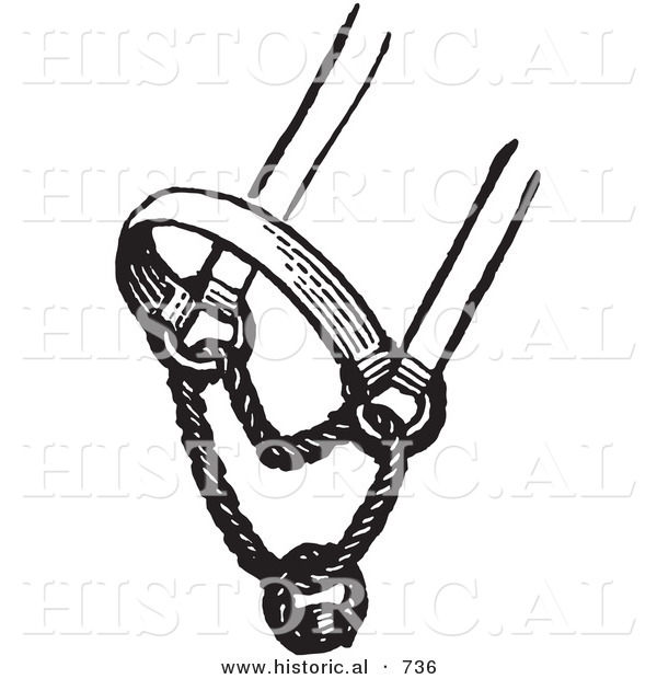 Historical Vector Illustration of a Horse Halter - Black and White Version