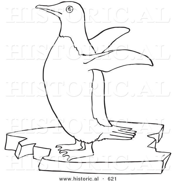 Historical Vector Illustration of a Penguin Flapping Its Wings - Outlined Version