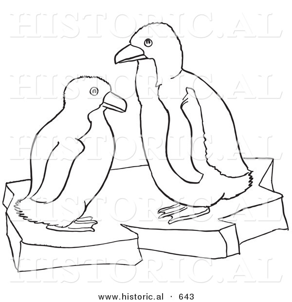 Historical Vector Illustration of a Penguins on Floating Ice- Outlined Version