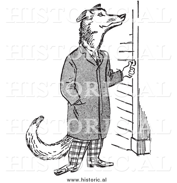 Illustration of a Cartoon Wolf Ringing Doorbell