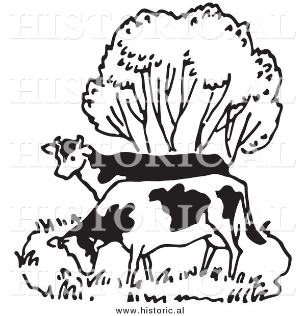 Illustration of a Couple of Cows Grazing Beside a Tree - Black and White