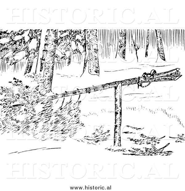 Illustration of a Marten Trap Set in the Wild - Black and White