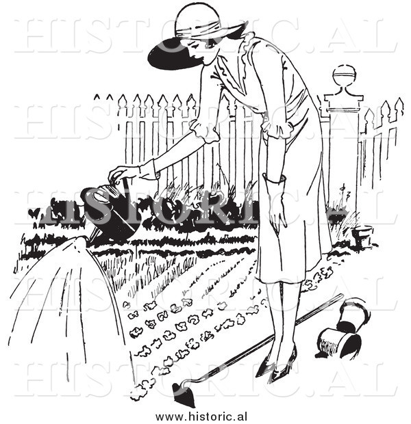 Illustration of a Young Lady Watering a Garden - Black and White