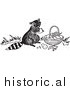 Clipart of a Hungry Raccoon Eating Fruit out of Someone's Basket - Black and White Drawing by Picsburg