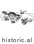 Clipart of a Raccoon Looking at Chipmunk - Black and White by Picsburg
