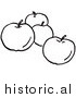 Clipart of Four Apples - Black and White Line Art by Picsburg
