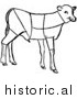 Clipart of Lamb Showing Cuts of Veal by Picsburg