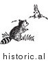 Historical Clipart of a Raccoon and Rabbit Looking at Each Other - Black and White by Picsburg