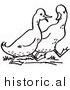 Historical Clipart of Two Walking Ducks - Outline by Picsburg