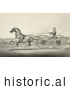 Historical Illustration of a Harness Racer Driving a Trotting Horse by JVPD