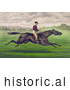 Historical Illustration of a Jockey Riding a Brown Gelding, Leaping Across a Grassy Field by Picsburg