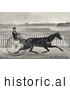 Historical Illustration of a Man Racing the Famous Roan Horse, Captain Mcgowan, in His 20th Mile by JVPD
