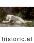 Historical Illustration of a Nude Woman Lying over a Stream, Biblis by William-Adolphe Bouguereau by JVPD