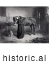 Historical Illustration of a Woman Feeding and Leaning Against a Horse While a Dog Watches and a Kitten Plays, a Man Standing in the Background - Black and White by JVPD