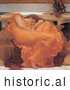 Historical Illustration of a Woman Sleeping in an Orange Gown Flaming June by Frederic Lord Leighton by JVPD
