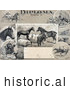 Historical Illustration of an Agricultural Diploma with Jockeys Racing Horses, Livestock, Produce and Farming Tools by Picsburg