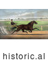 Historical Illustration of J. Bowen Trotting a Horse Named Joe Elliott at Mystic Park in Medford, Massachusetts - June 28th, 1872 by JVPD