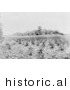Historical Photo of Monk’s Mound, Cahokia, Illinois 1907 - Black and White Version by JVPD