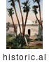 Historical Photochrom of a Chapel Under Palm Trees at a Cemetery, Algeria by JVPD