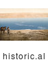 Historical Photochrom of an Arabian Man and Horse near the Dead Sea by JVPD