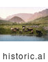 Historical Photochrom of Cows Drinking from a Lake near a Green Pasture and Mountains in England by JVPD