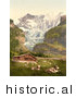 Historical Photochrom of Livestock and Barn near Baregg Glacier, Switzerland by JVPD