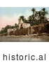 Historical Photochrom of Marabut, Biskra, Algeria by JVPD