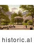 Historical Photochrom of Music Pavillion in Interlaken, Switzerland by JVPD