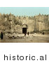 Historical Photochrom of Sheep in Front of the Damascus Gate, Jerusalem by JVPD