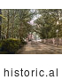 Historical Photochrom of the Tree Lined Upper Bognor Road in Bognor Regis, England by JVPD