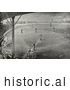Historical Sepia Illustration of Fans Watching a Boston Braves Baseball Game Fans Watching a Boston Braves Baseball Game 1888 by JVPD