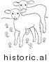 Historical Vector Illustration of 2 Lambs in a Field of Flowers - Outlined Version by JVPD