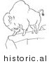 Historical Vector Illustration of a Bison Standing on a Cliff - Outlined Version by JVPD