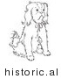 Historical Vector Illustration of a Cavalier King Charles Spaniel Dog Sitting and Staring - Outlined Version by JVPD