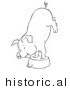 Historical Vector Illustration of a Circus Pig Doing a Handstand on a Kitchen Pot - Outlined Version by JVPD