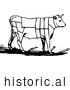Historical Vector Illustration of a Cow Featuring Outlined Butcher Sections of Bullock - Black and White by Picsburg