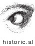 Historical Vector Illustration of a Human Eye Looking over - Black and White Version by JVPD