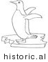 Historical Vector Illustration of a Penguin Flapping Its Wings - Outlined Version by Picsburg