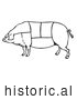 Historical Vector Illustration of a Pig Featuring Outlined Butcher Sections of Meat Cuts - Black and White by Picsburg
