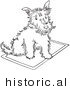 Historical Vector Illustration of a Scottie Dog Sitting on a Rug - Outlined Version by JVPD