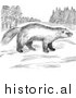 Illustration of a Wolverine Looking Around Meadow - Black and White by Picsburg