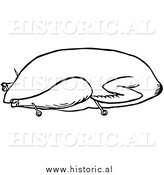 January 14th, 2014: Clipart of a Trussed Goose Ready for Roasting - Black and White Line Drawing by Al