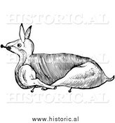 January 14th, 2014: Clipart of a Trussed Rabbit Ready for Roasting - Black and White Line Drawing by Al