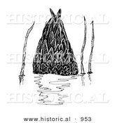 Historical Illustration of a Dabbler Duck Underwater - Black and White Version by Al