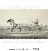 Historical Illustration of a Harness Racer Driving a Trotting Horse by Al