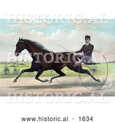 Historical Illustration of a Horse, Champion Pacer Johnston, by Bashaw Golddust, Raced by Peter V. Johnston by Al